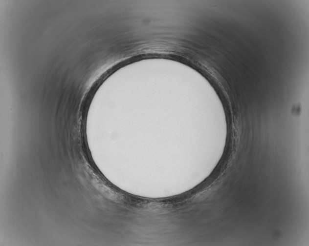 X0000111950779200908241203
