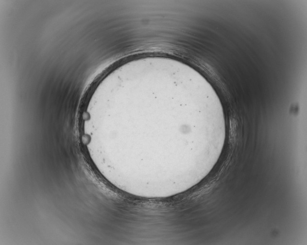 X0000111950780200908241203