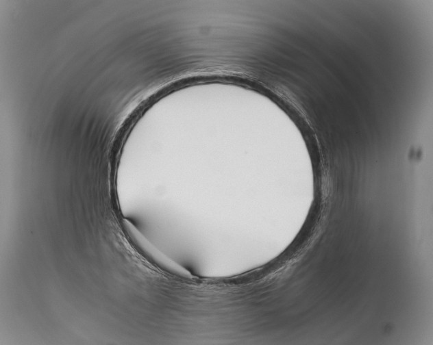 X0000111950781200908241203