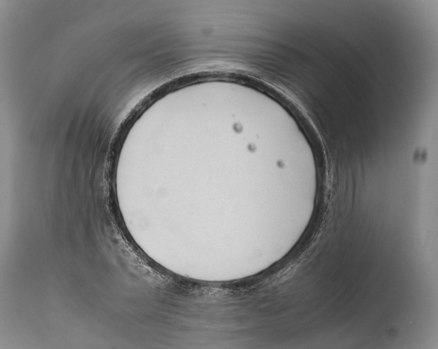 X0000111950783200908241203