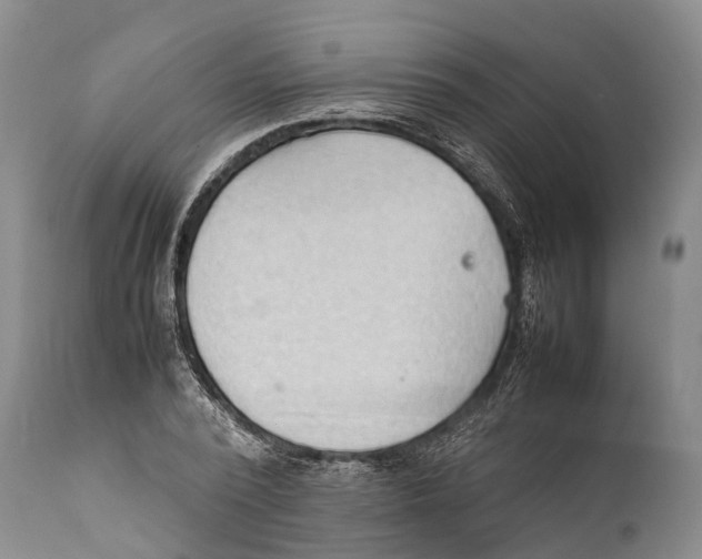 X0000111950784200908241203