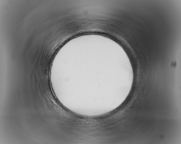 X0000111950785200908241203