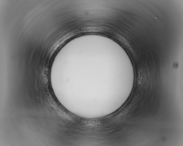 X0000111950786200908241203