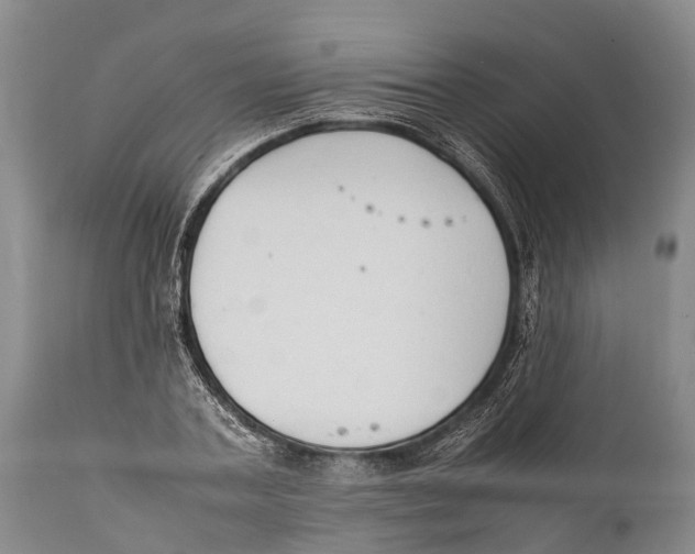 X0000111950787200908241203