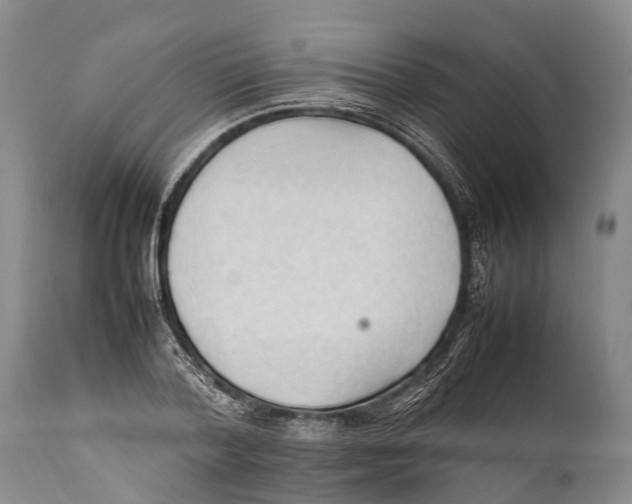 X0000111950788200908241203