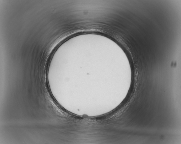 X0000111950789200908241203