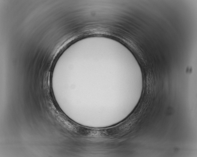 X0000111950790200908241203