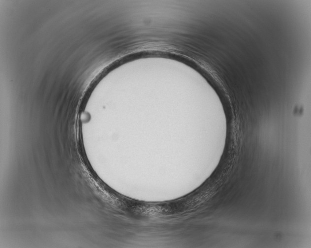 X0000111950791200908241203