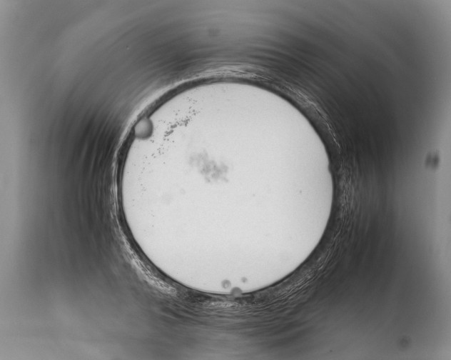 X0000111950792200908241203