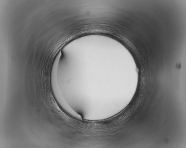 X0000111950793200908241203