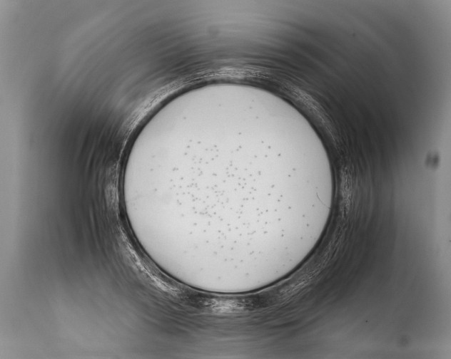 X0000111950794200908241203