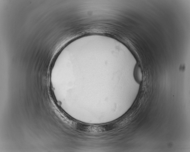 X0000111950795200908241203