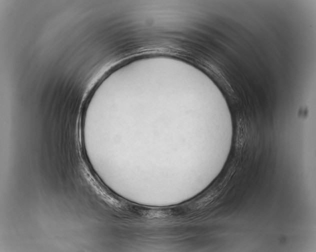 X0000111950796200908241203