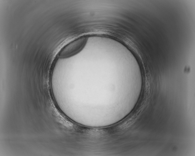 X0000111950797200908241203