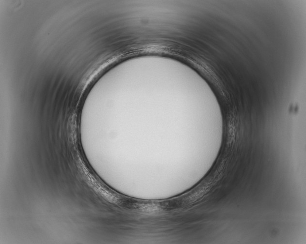 X0000111950798200908241203