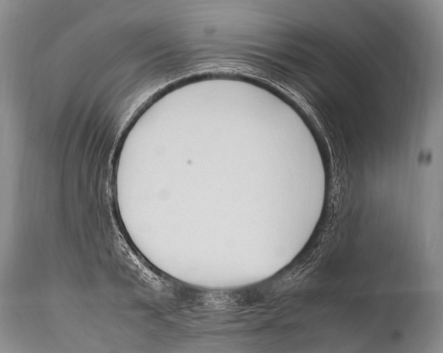 X0000111950799200908241203