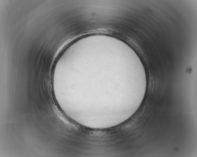X0000111950800200908241203
