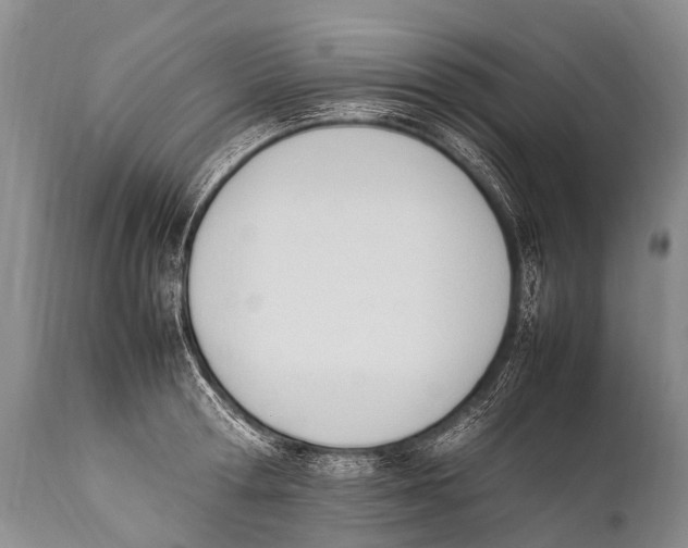 X0000111950802200908241203
