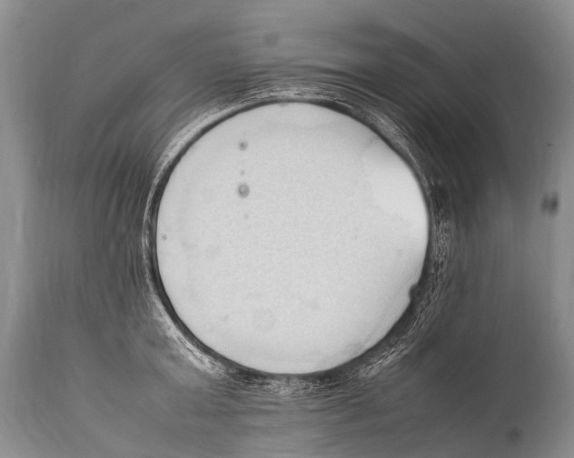 X0000111950803200908241203