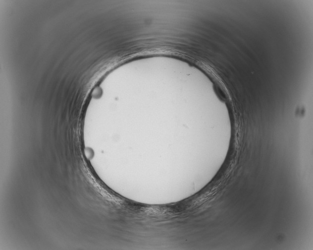 X0000111950805200908241203