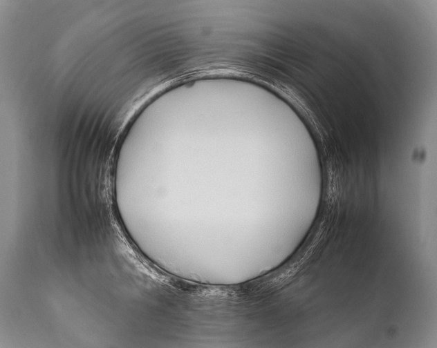 X0000111950806200908241203