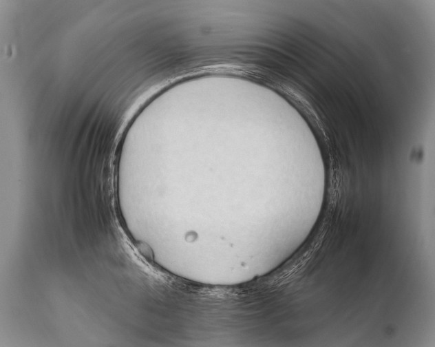X0000111950808200908241203