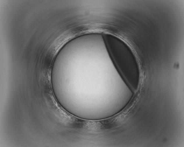 X0000111950809200908241203