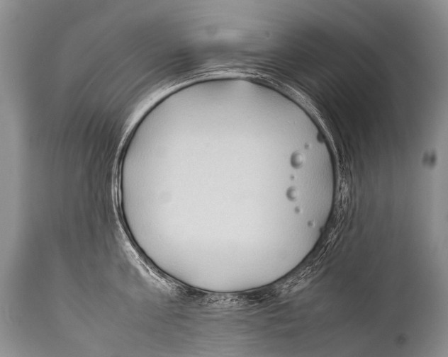 X0000111950811200908241203