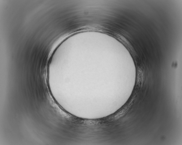 X0000111950812200908241203