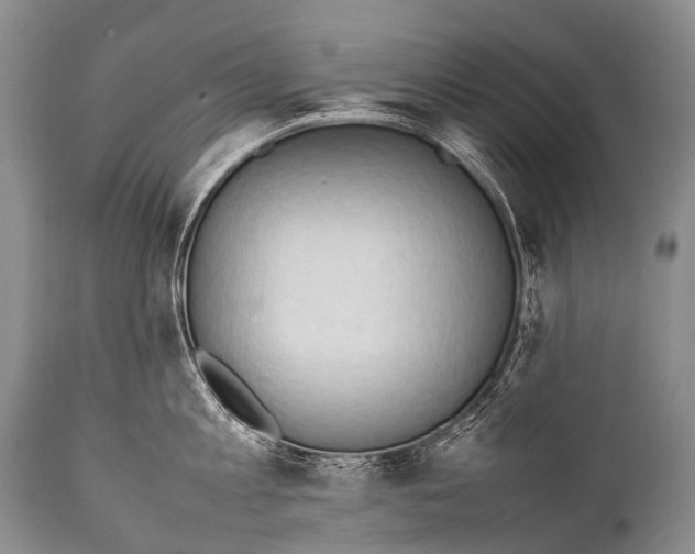 X0000111950813200908241203