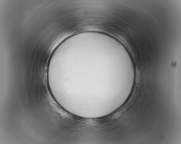 X0000111950814200908241203