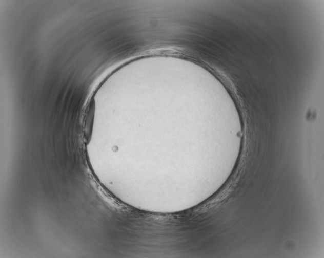 X0000111950816200908241203