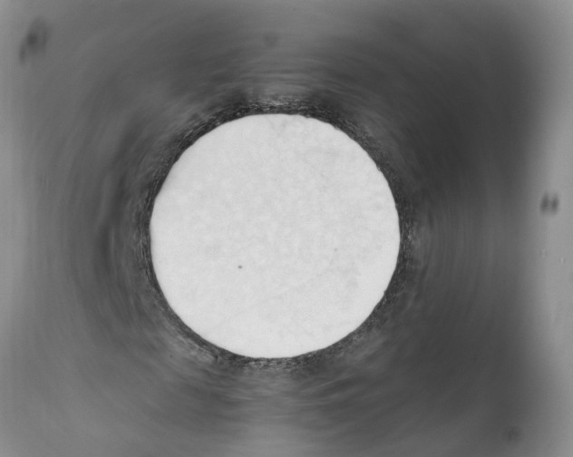 X0000111950817200908241202