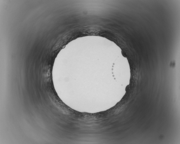 X0000111950818200908241202