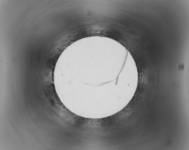 X0000111950820200908241202