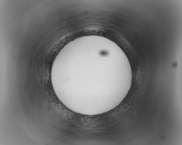 X0000111950821200908241202