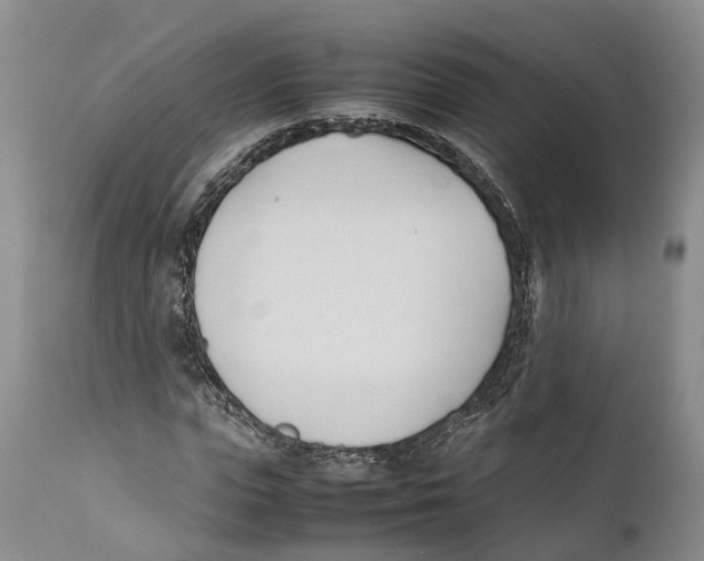 X0000111950823200908241202