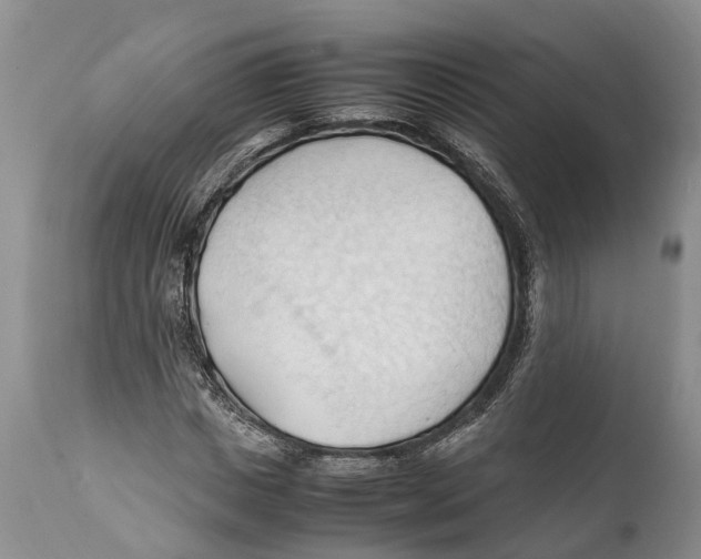 X0000111950825200908241202