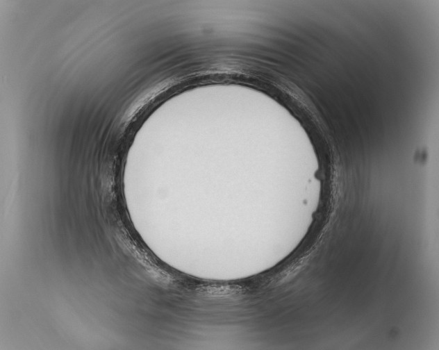 X0000111950826200908241202