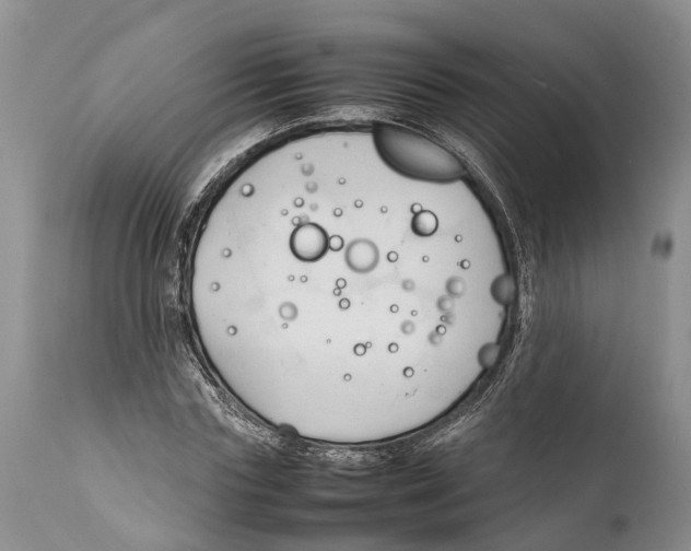 X0000111950827200908241202