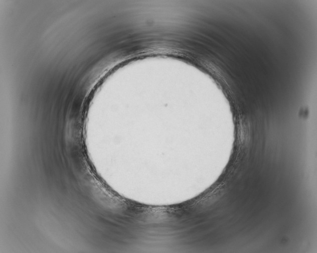 X0000111950828200908241202