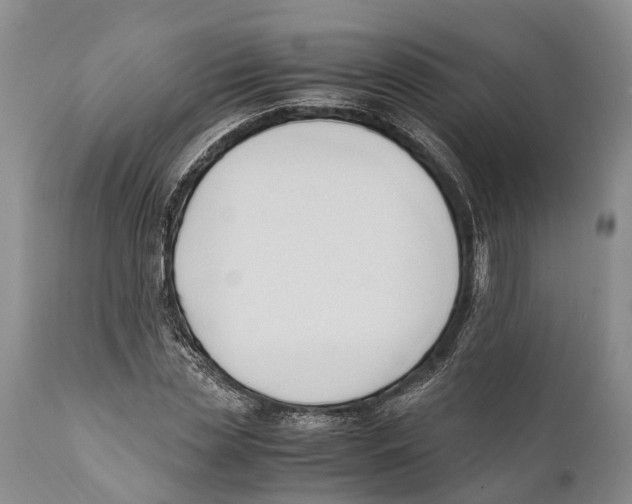 X0000111950829200908241202