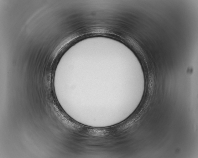 X0000111950831200908241202