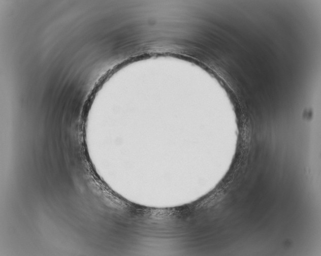 X0000111950832200908241202