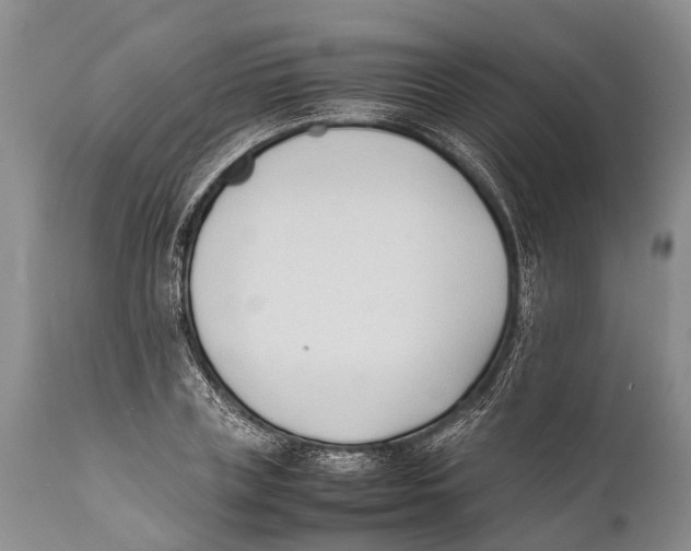 X0000111950835200908241202