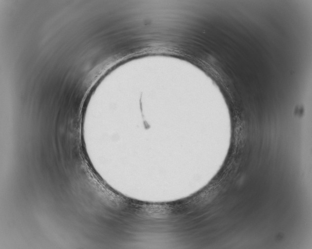 X0000111950836200908241202