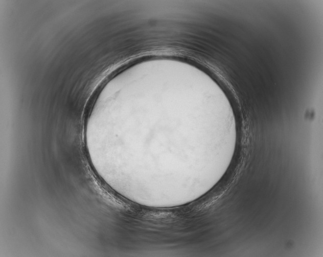 X0000111950837200908241202