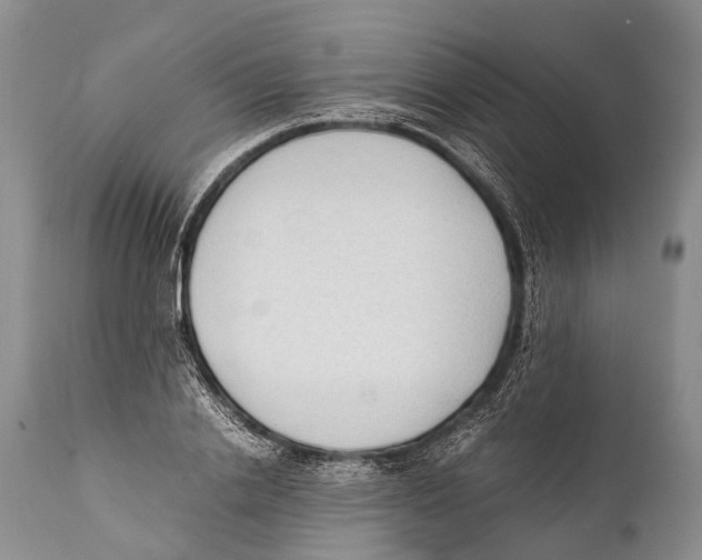 X0000111950838200908241202