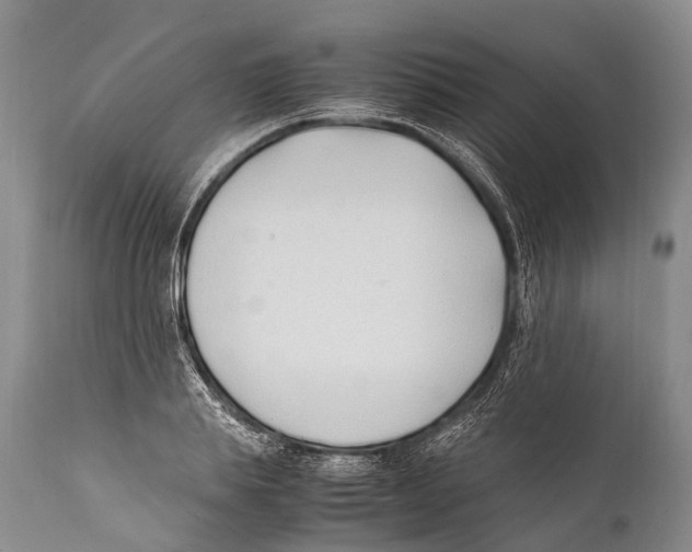 X0000111950839200908241202