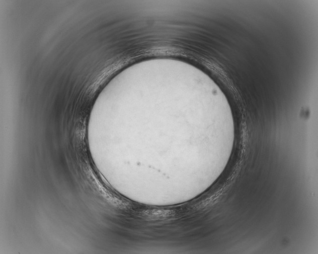 X0000111950841200908241202